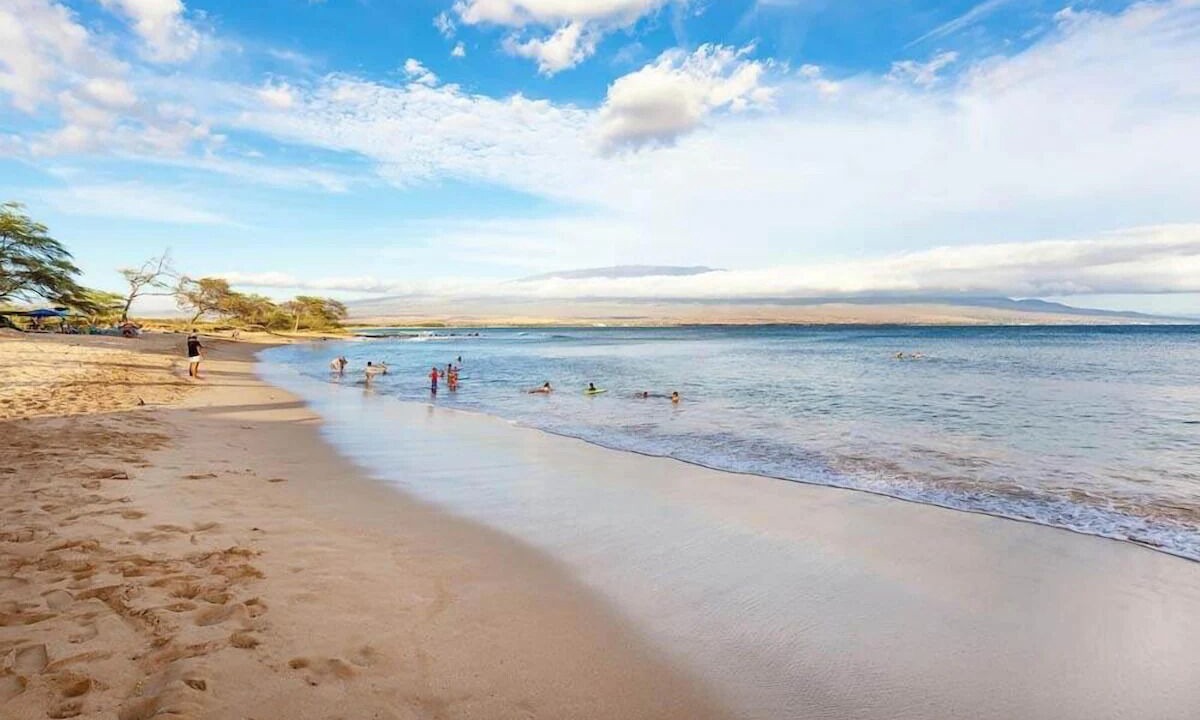 Photo of Others in Maalaea