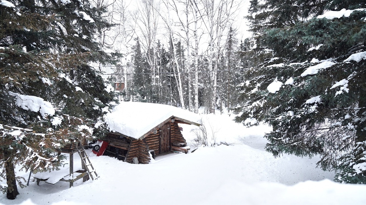 Photo of Others in Turnagain