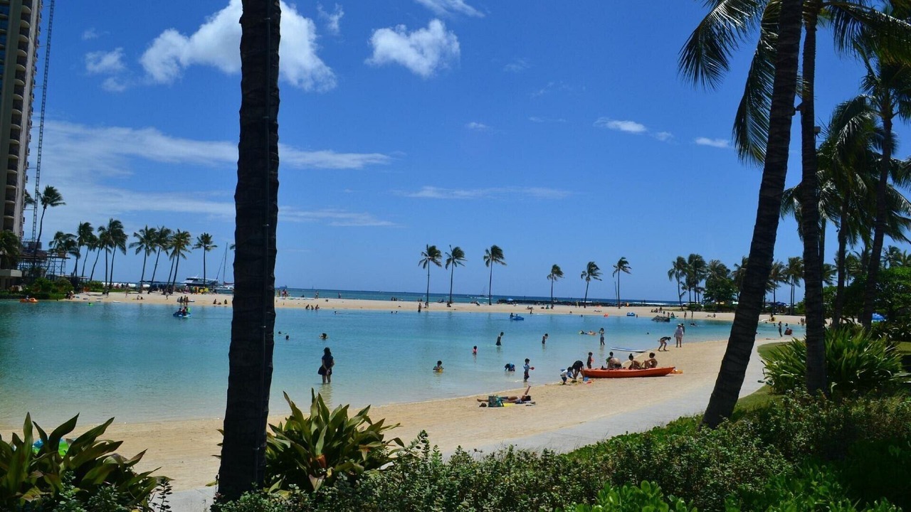 Photo of Others in Waikiki