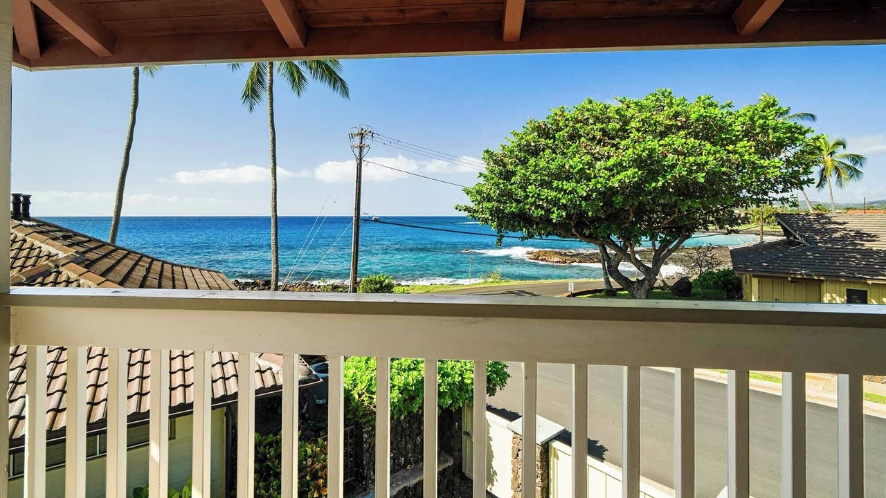 Photo of Others in Poipu