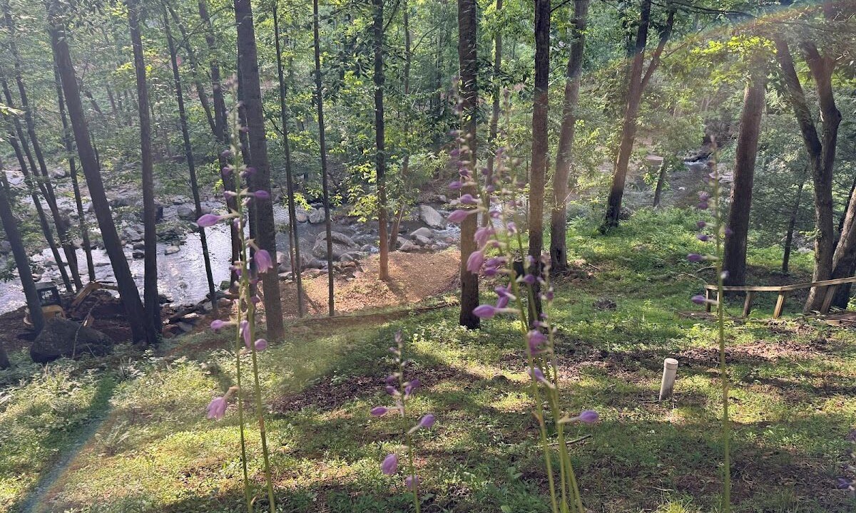 Photo of Others in Bakersville