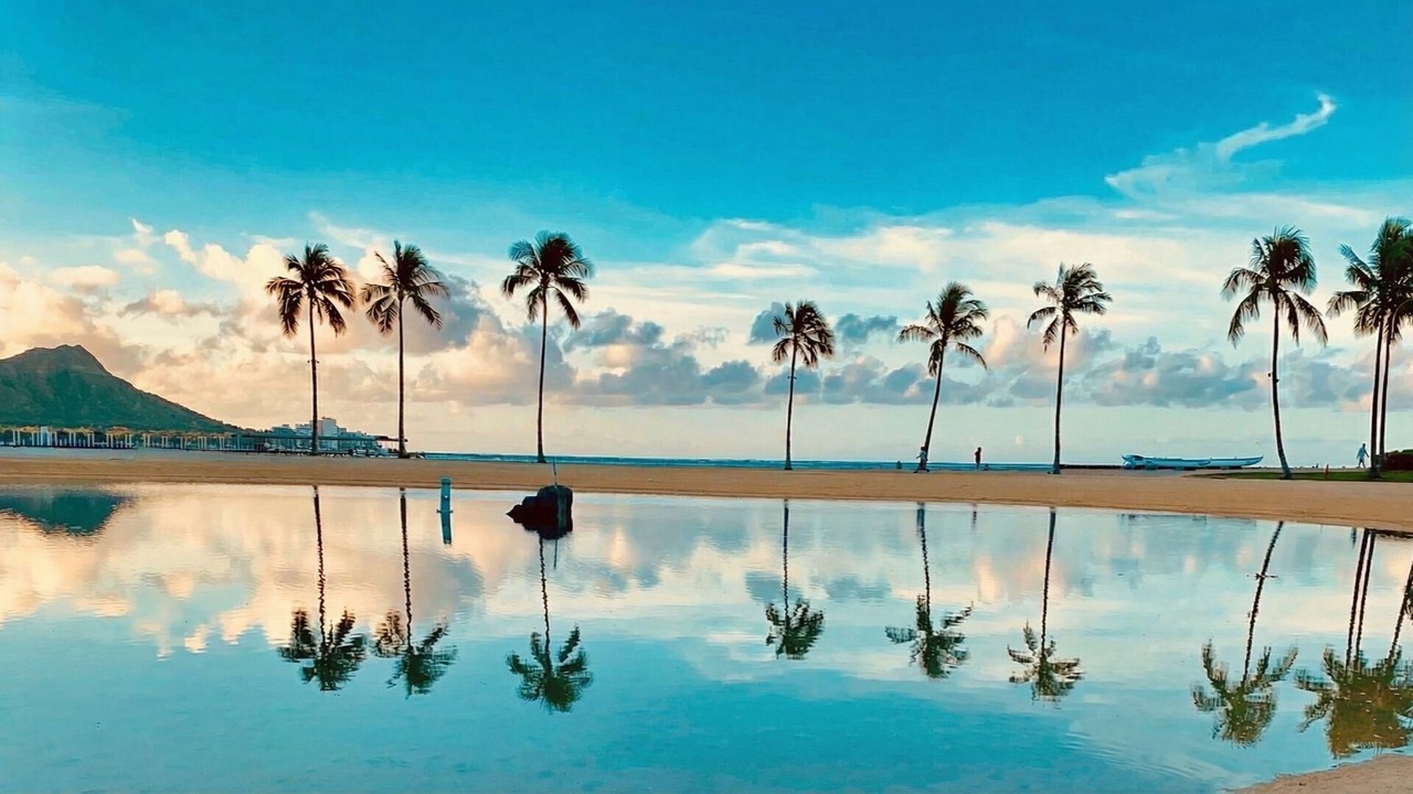 Photo of Others in Waikiki