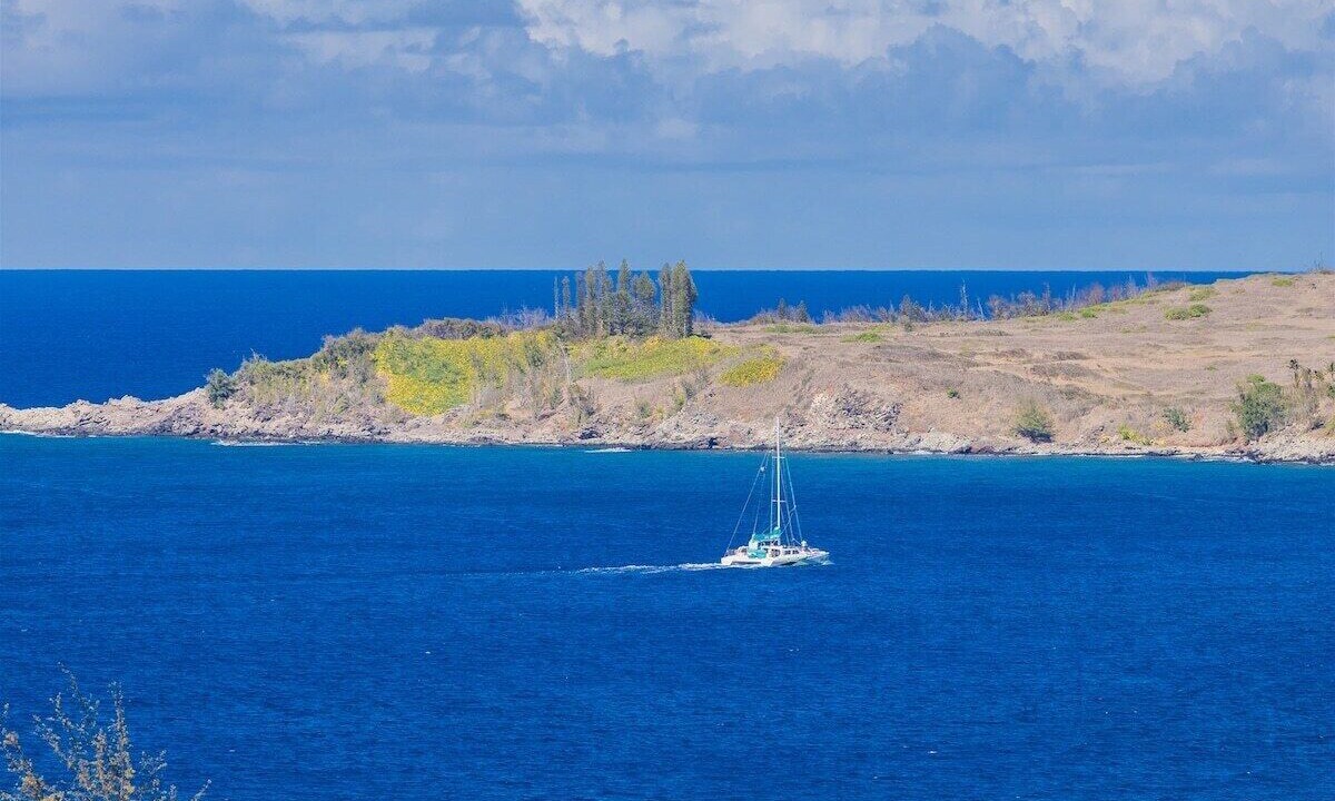 Photo of Others in Kapalua