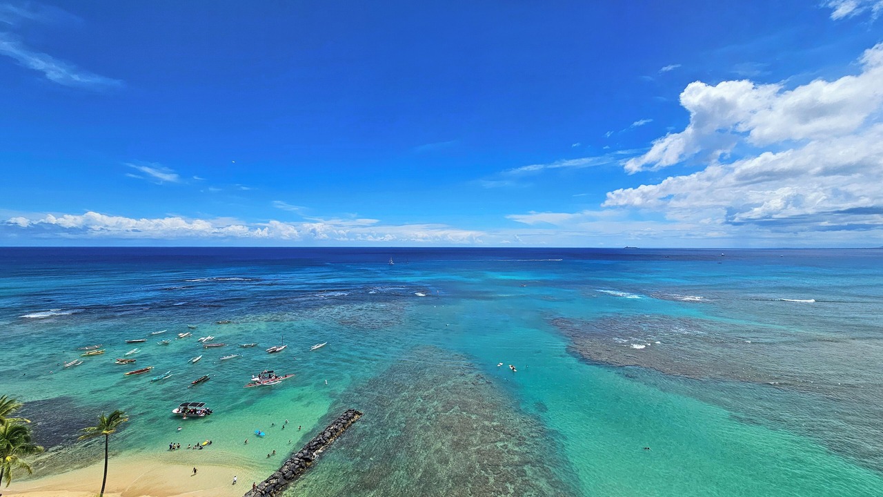 Photo of Others in Diamond Head - Kapahulu - St. Louis
