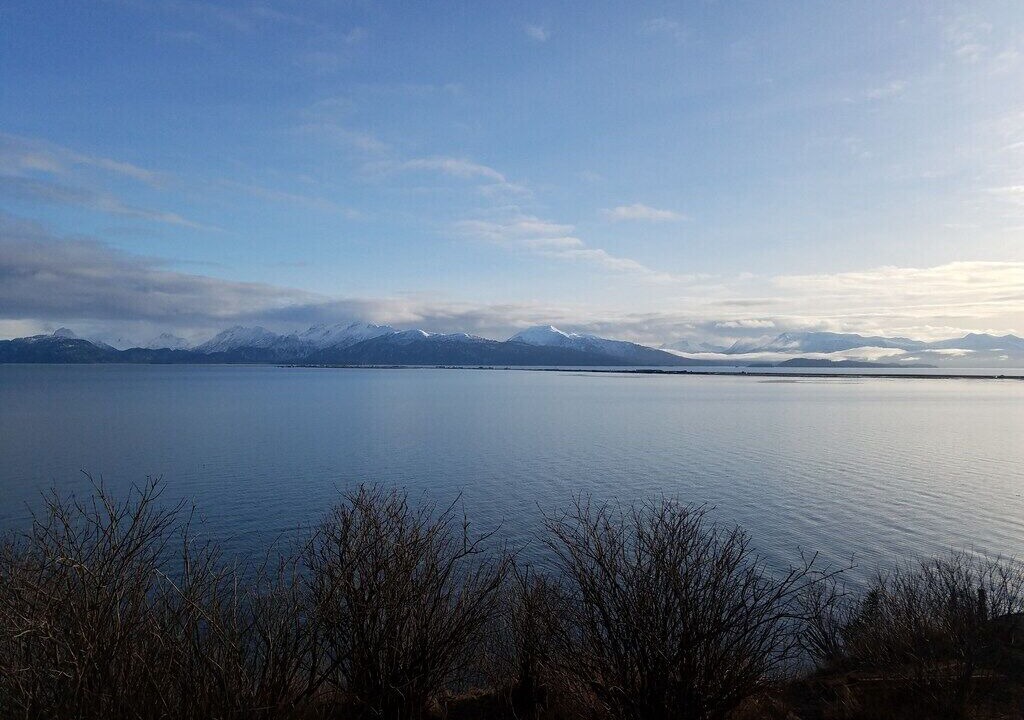 Photo of Others in Homer