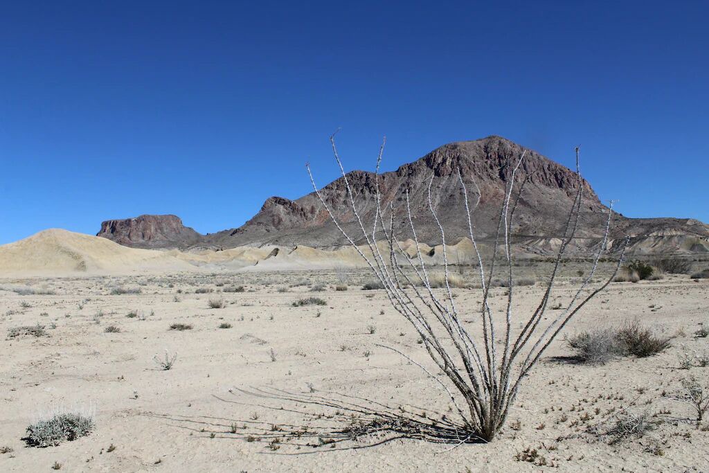 Photo of Others in Study Butte-Terlingua