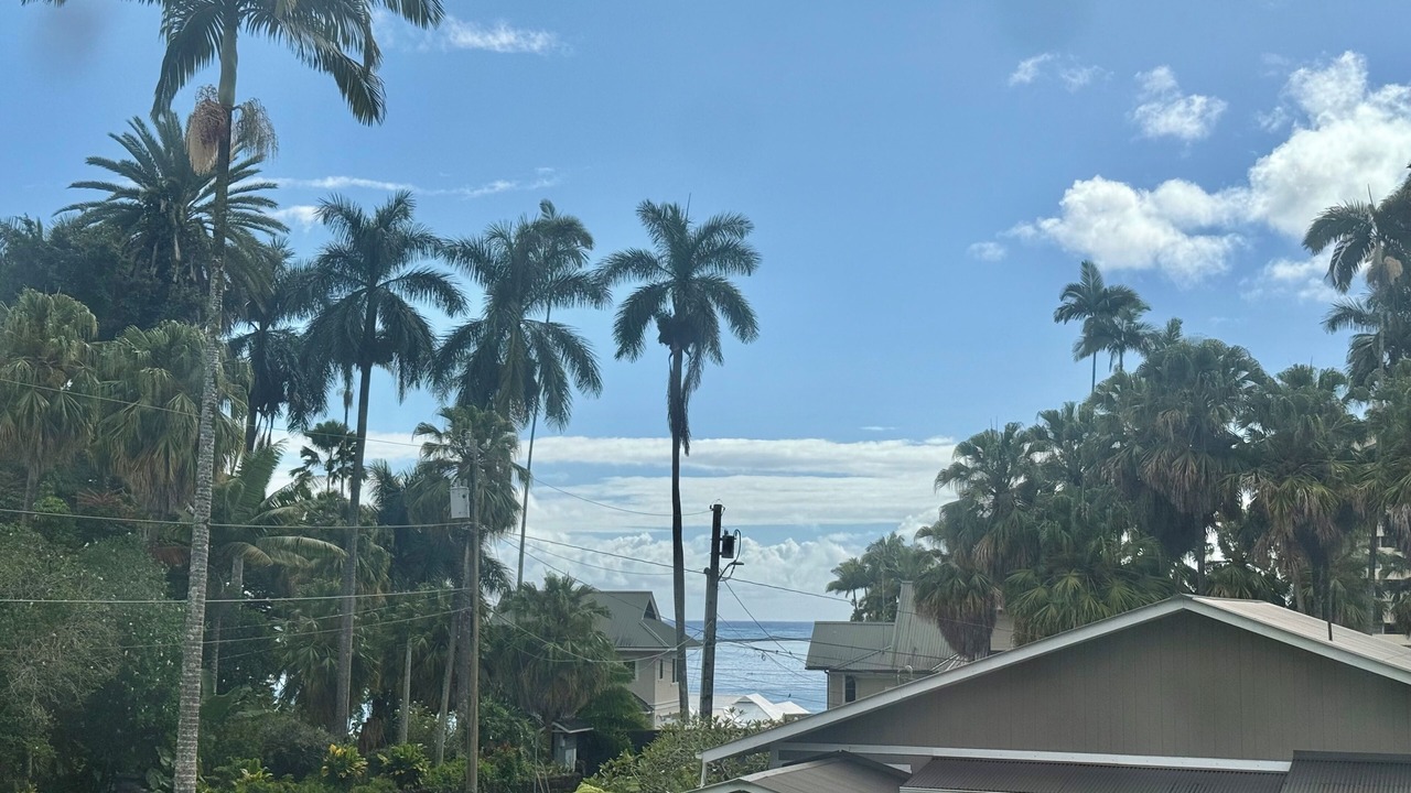 Photo of Others in Hilo