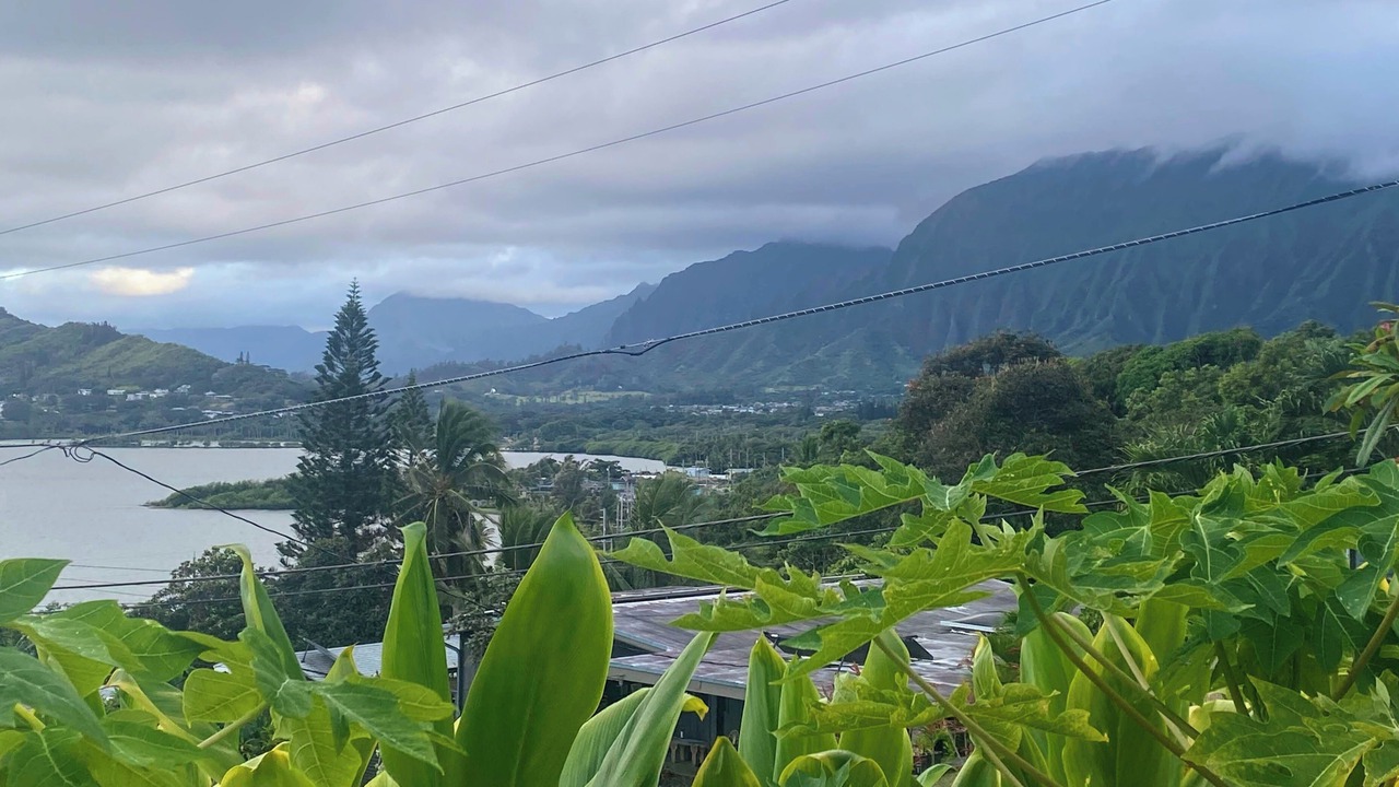 Photo of Others in Kaneohe