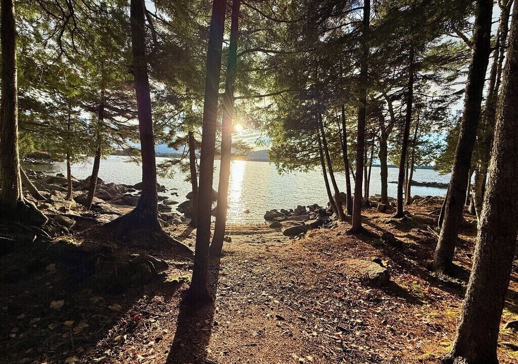Photo of Others in Beaver Cove