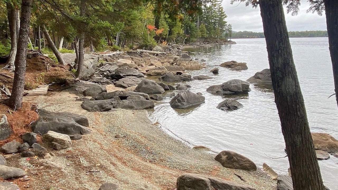 Photo of Others in Beaver Cove