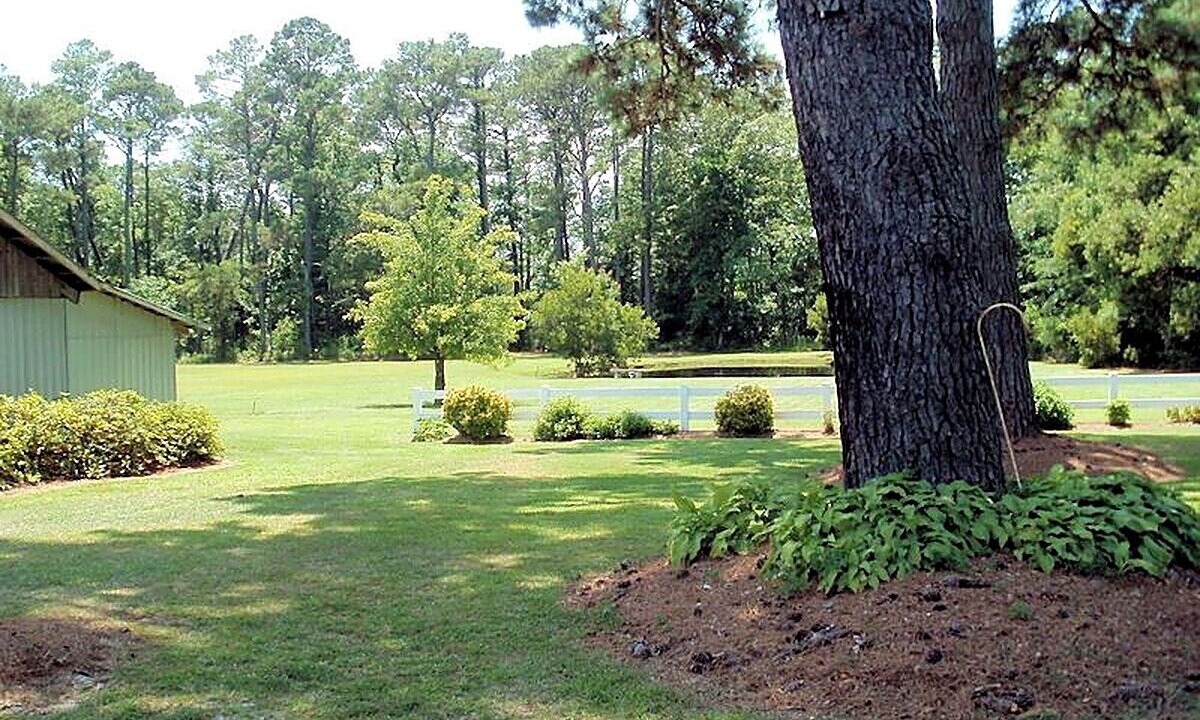 Photo of Outdoor in Harbinger