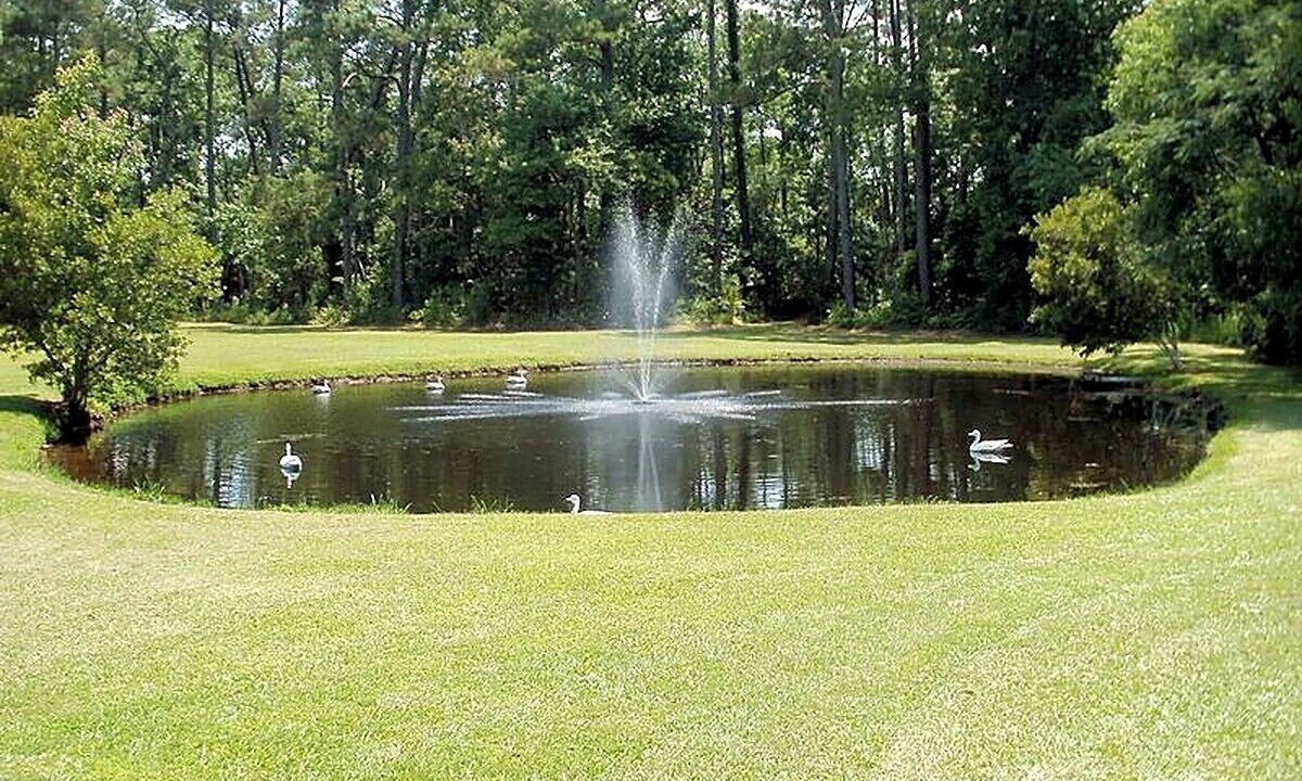 Photo of Outdoor in Harbinger