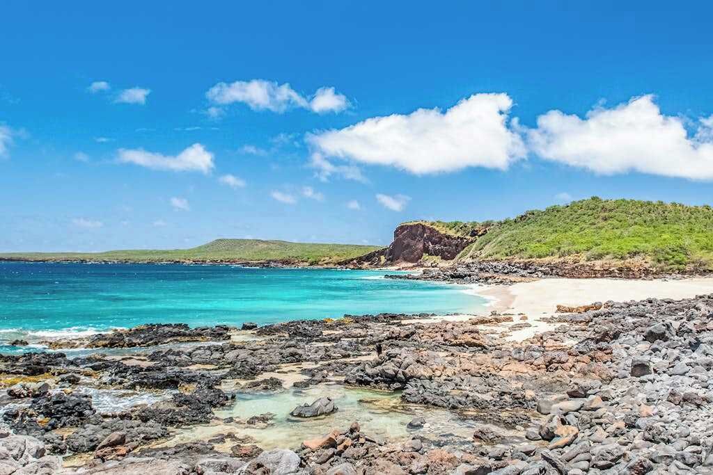 Photo of Others in Maunaloa