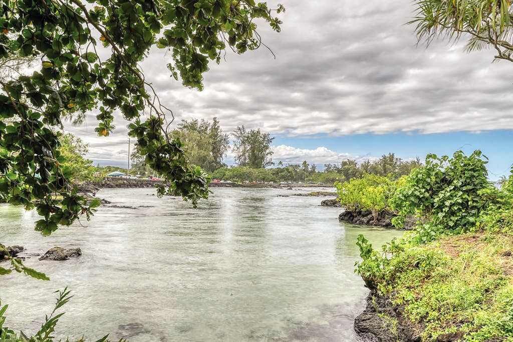 Photo of Others in Hilo