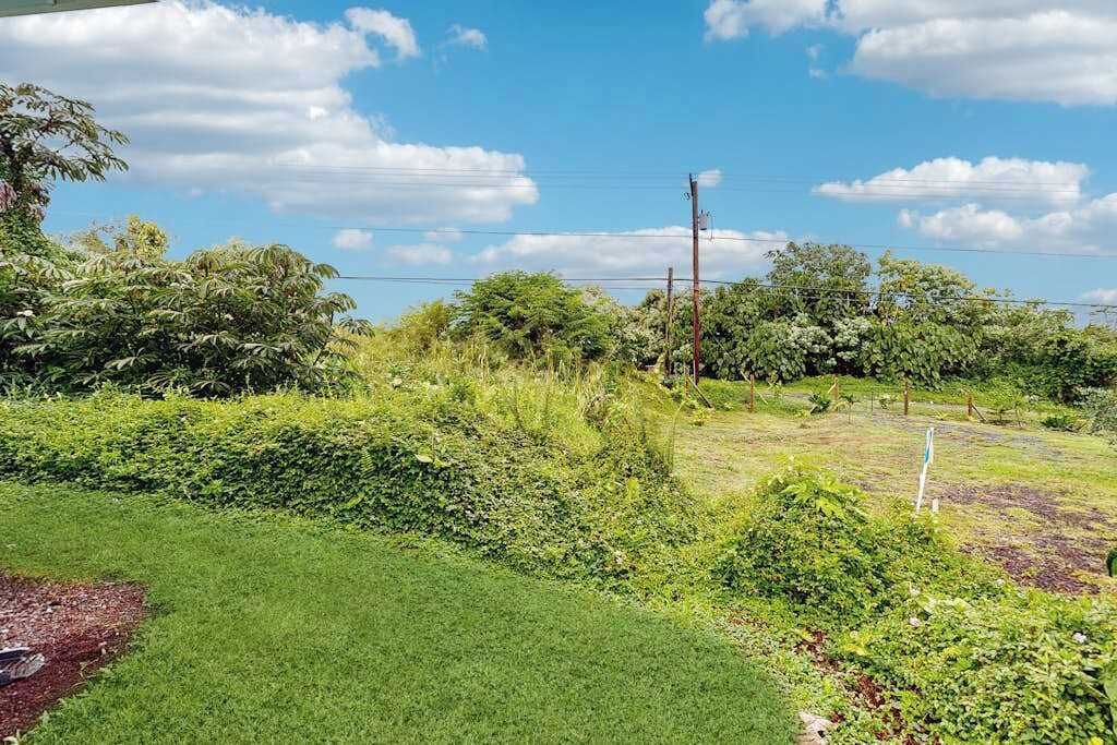 Photo of Outdoor in Kapoho