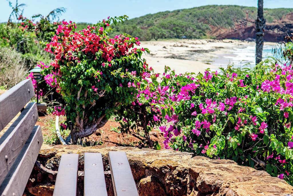 Photo of Outdoor in Maunaloa