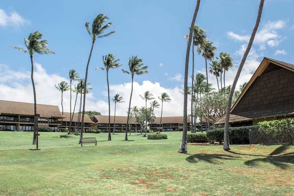 Photo of Outdoor in Maunaloa