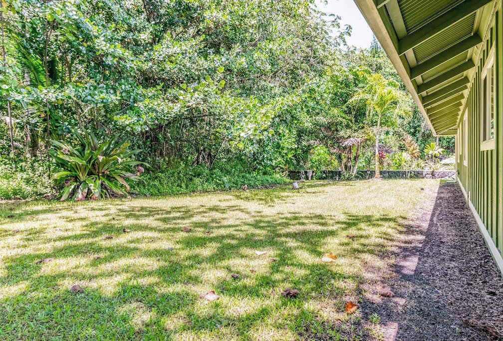Photo of Outdoor in Kapoho