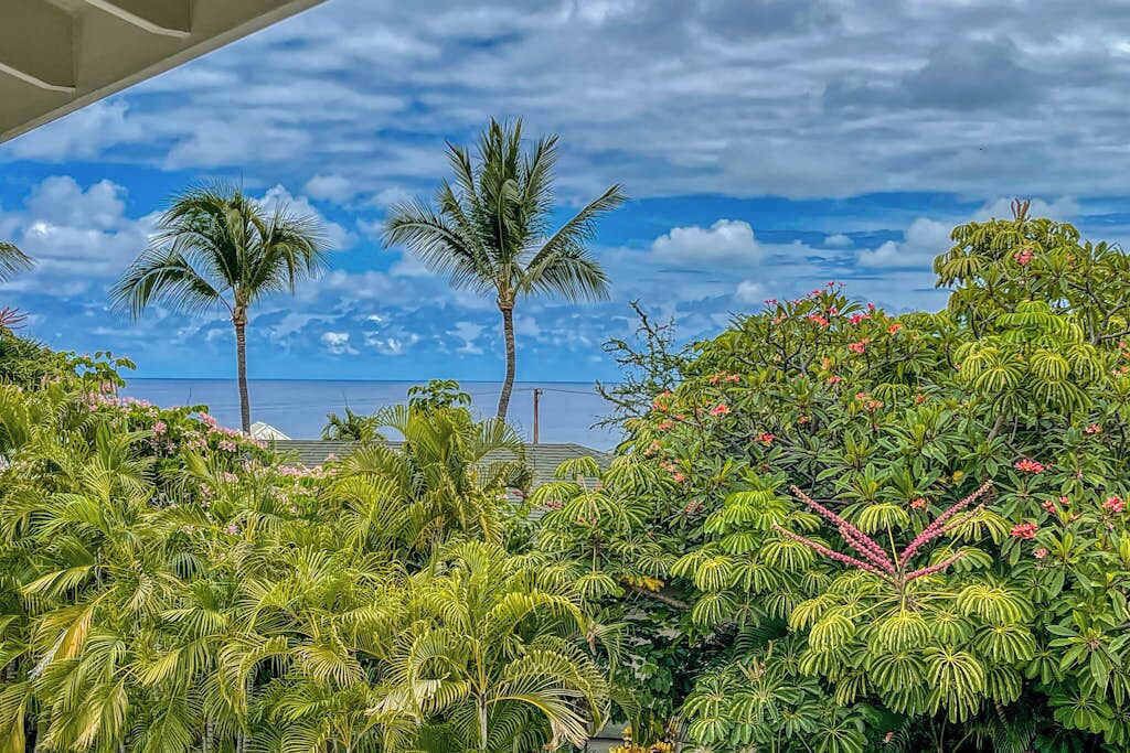 Photo of Others in Kahaluu Bay