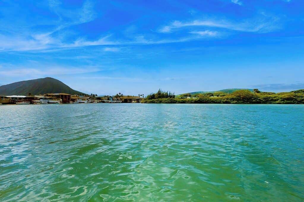 Photo of Others in Portlock