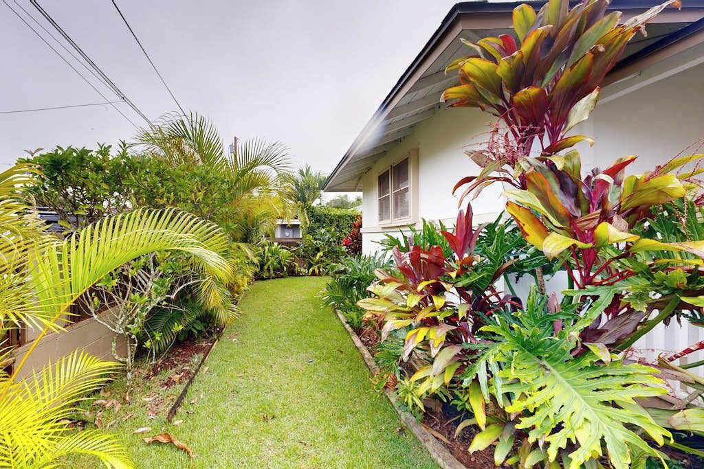 Photo of Outdoor in Haleiwa