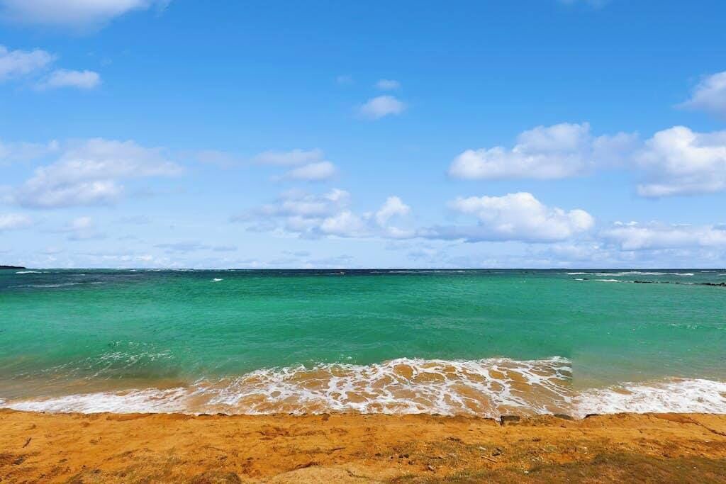 Photo of Others in Kapaa