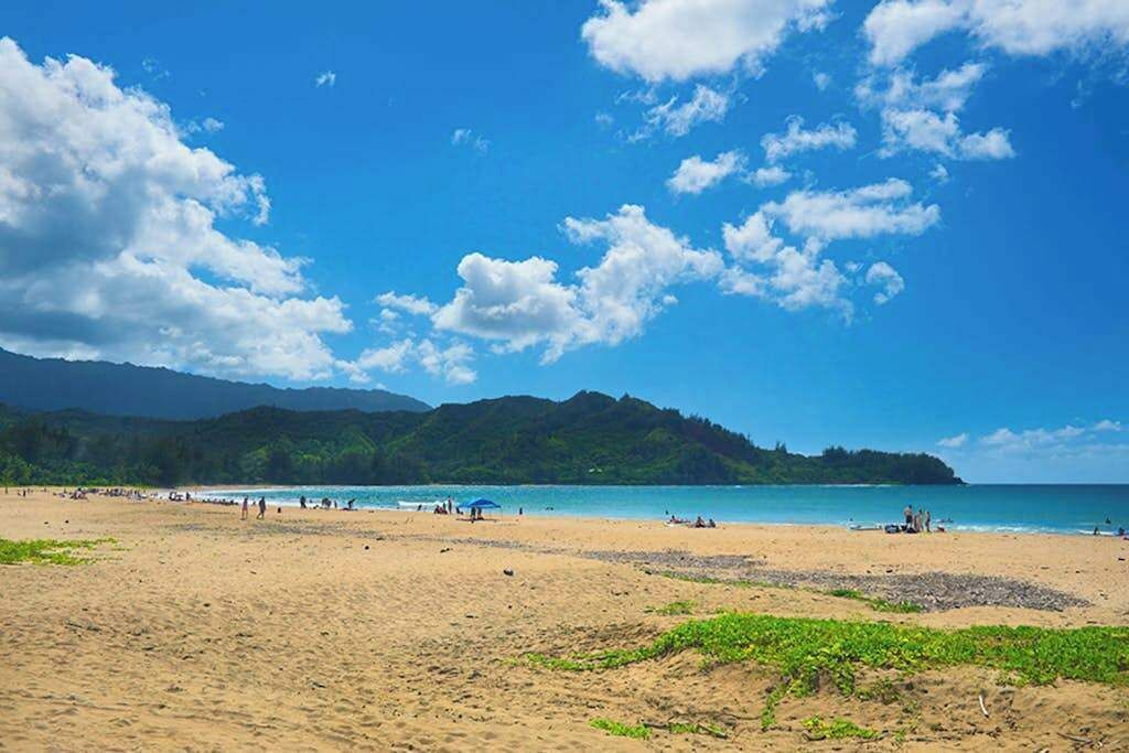 Photo of Others in Princeville