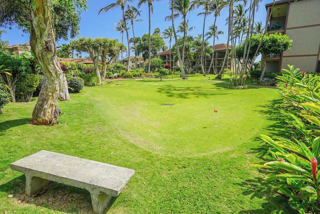 Photo of Outdoor in Kapaa