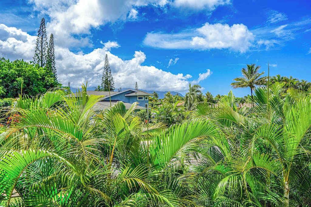 Photo of Outdoor in Princeville