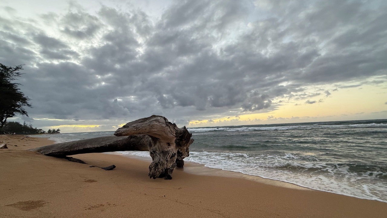 Photo of Others in Wailua