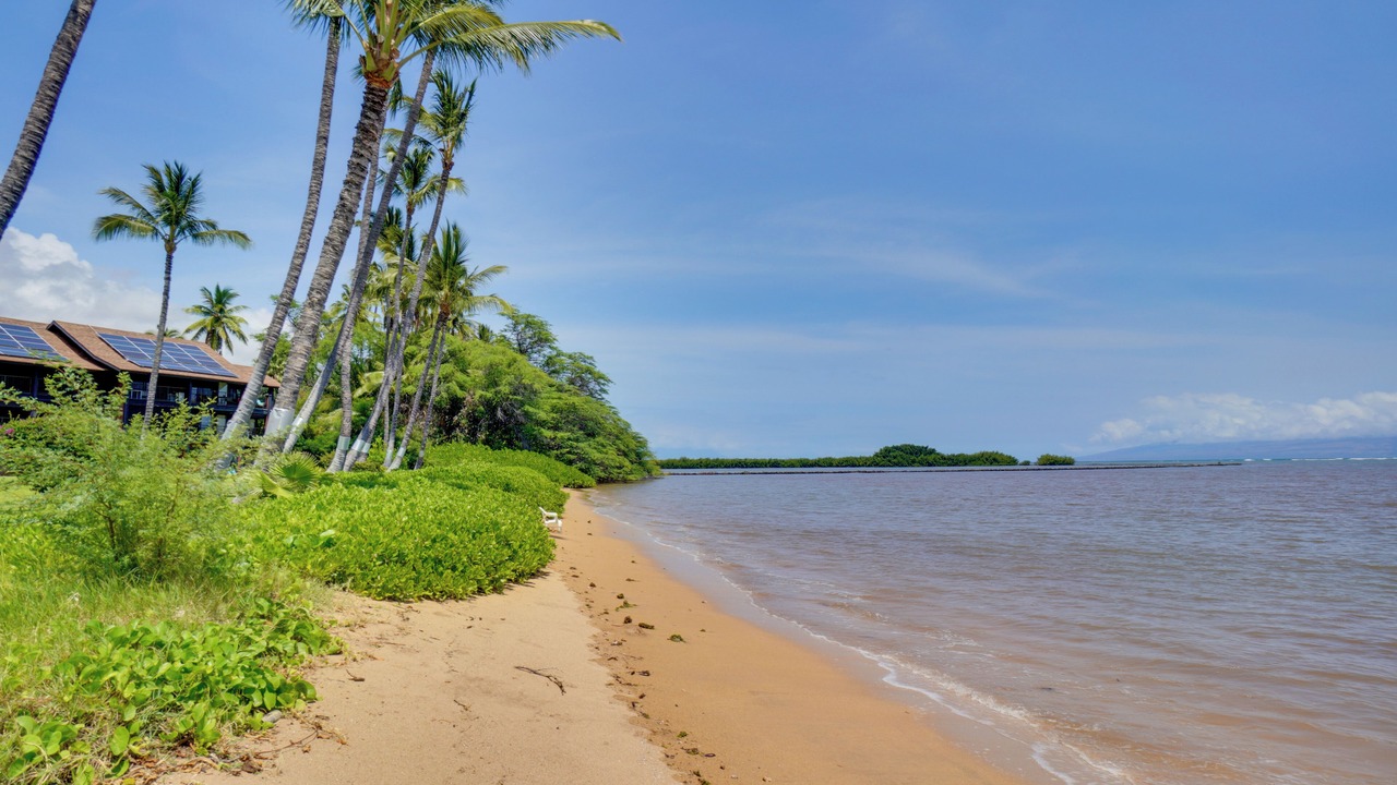Photo of Others in Kaunakakai