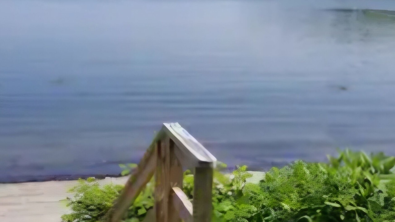 Photo of Others in Glen Cove