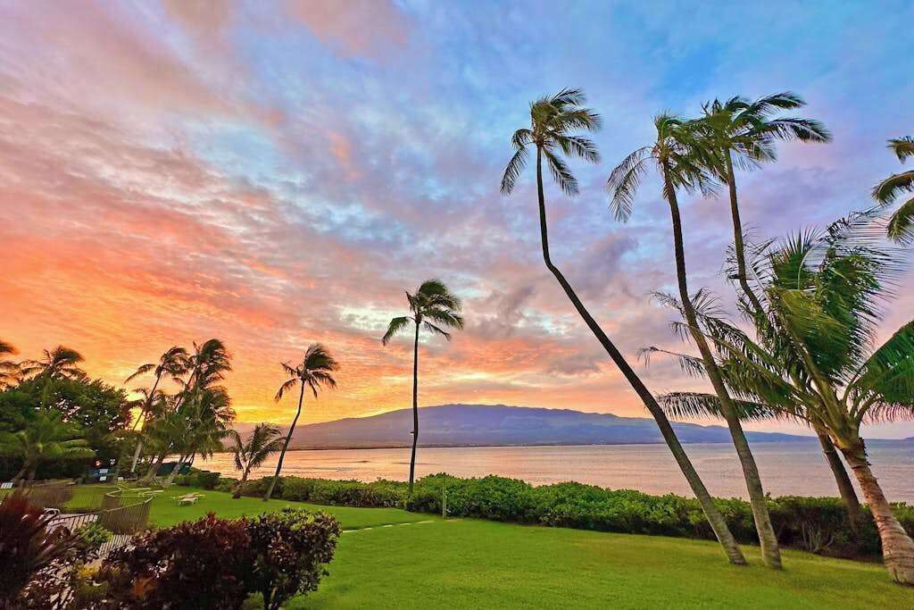 Photo of Others in Maalaea