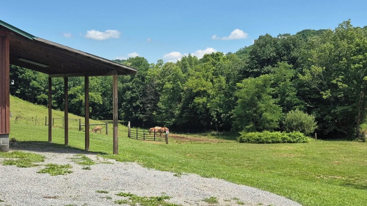 Photo of Outdoor in Roan Mountain