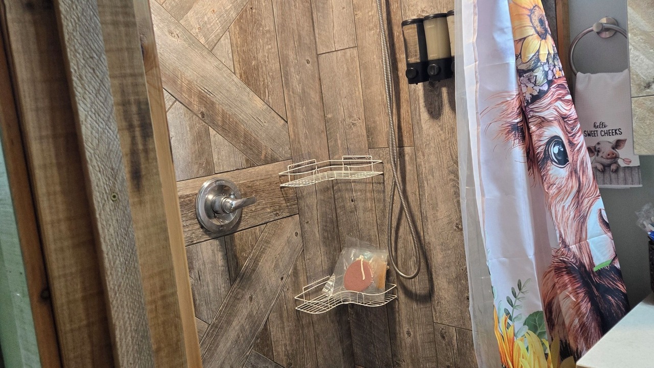 Photo of Bathroom in Roan Mountain