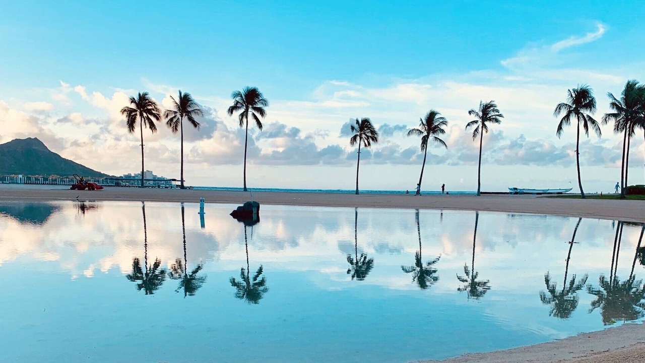 Photo of Others in Waikiki