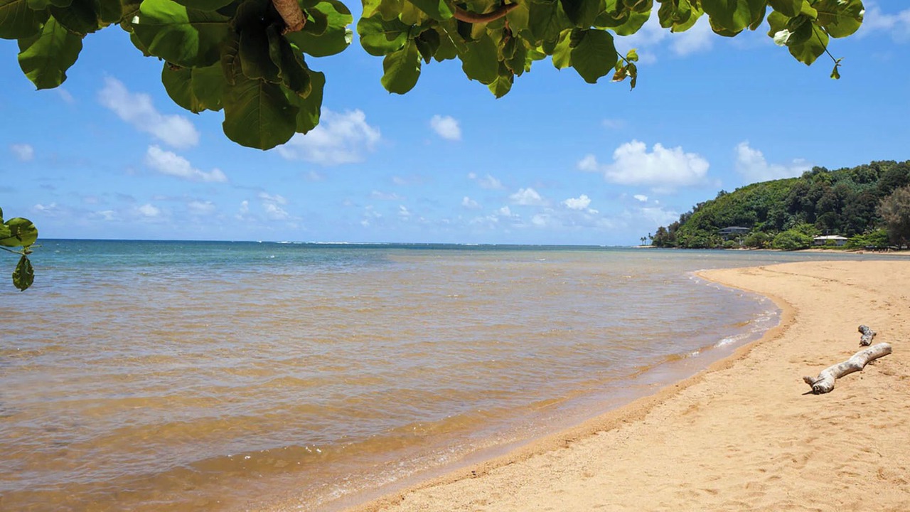 Photo of Others in Princeville