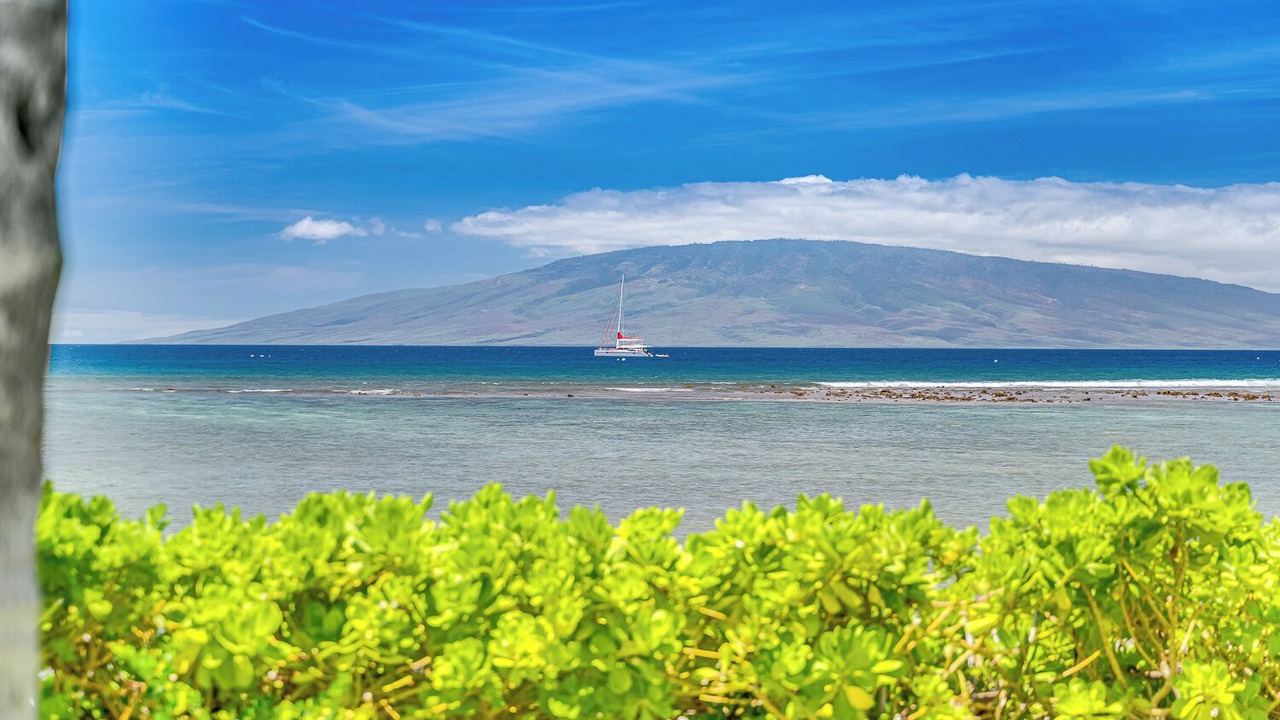 Photo of Others in Historic Lahaina Front Street