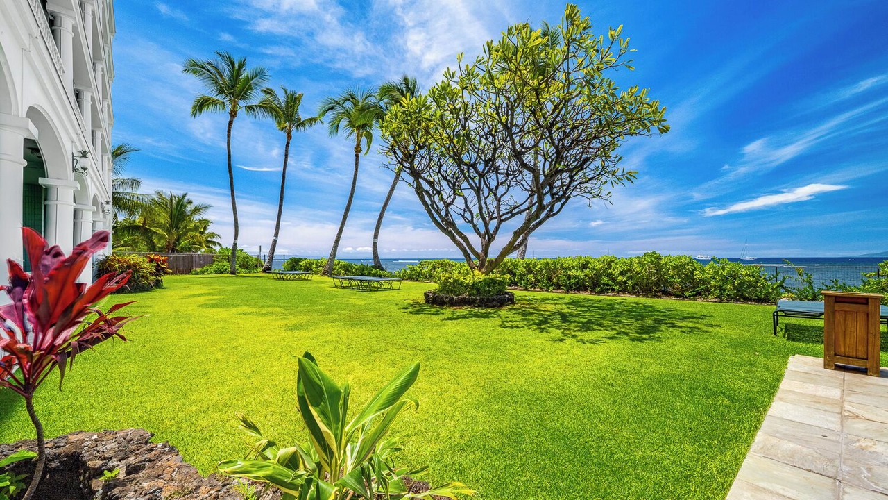 Photo of Others in Historic Lahaina Front Street