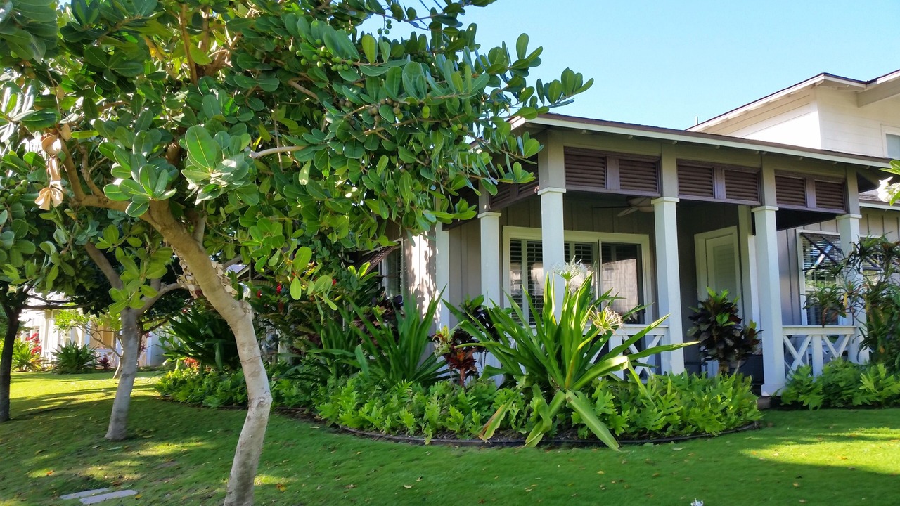 Photo of Outdoor in Ko Olina