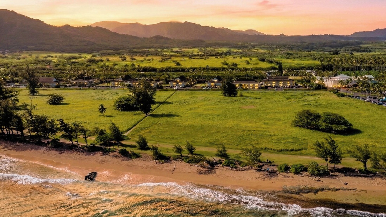 Photo of Others in Wailua