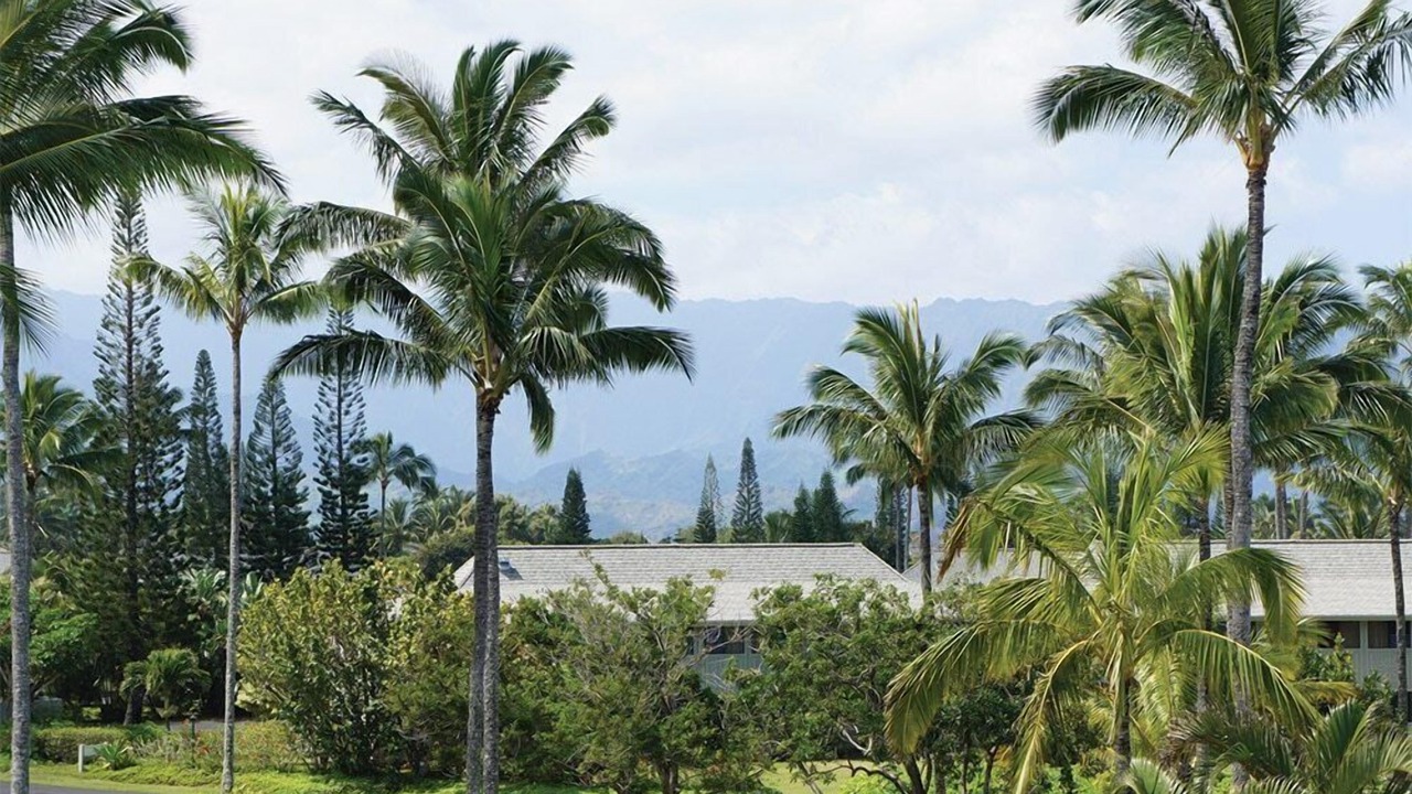 Photo of Outdoor in Princeville