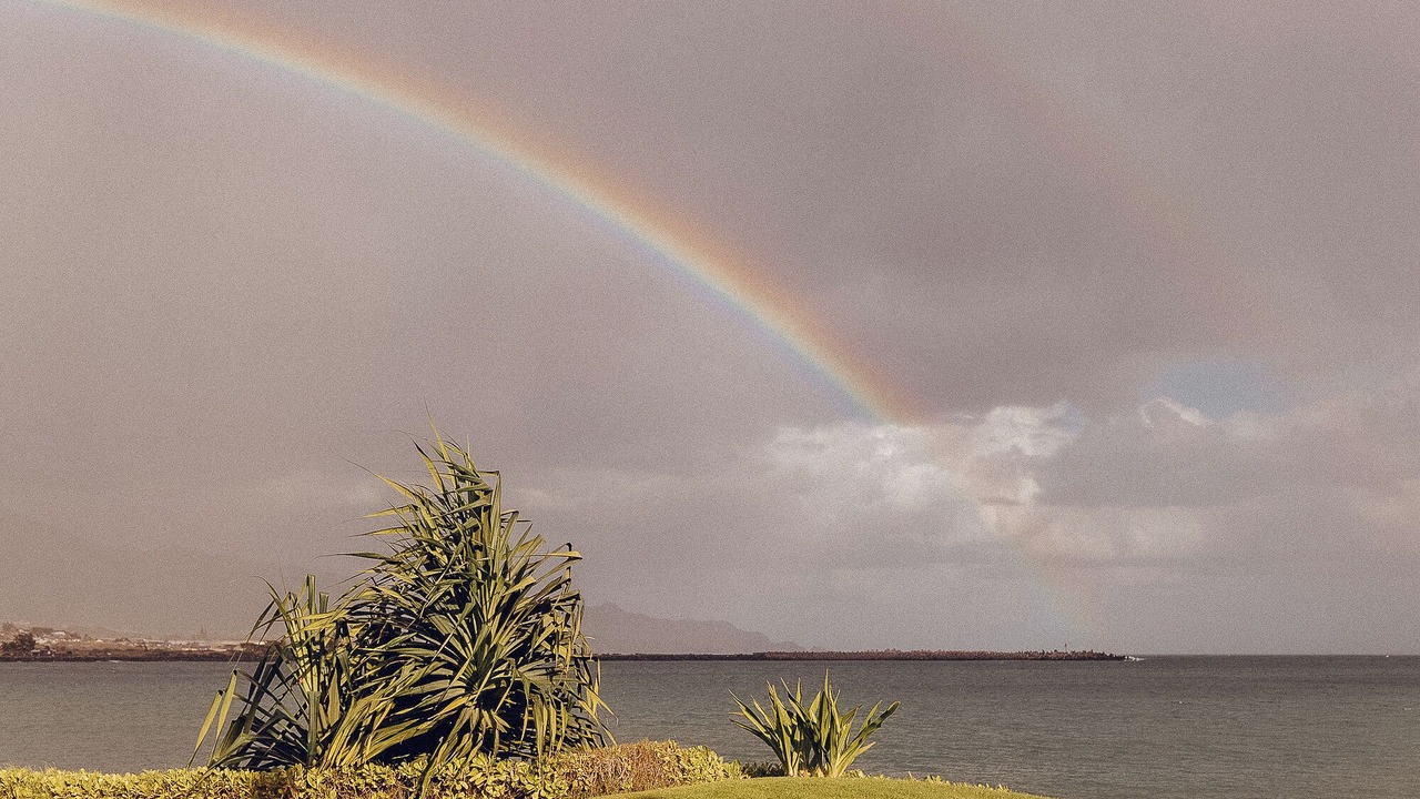 Photo of Others in Kahului