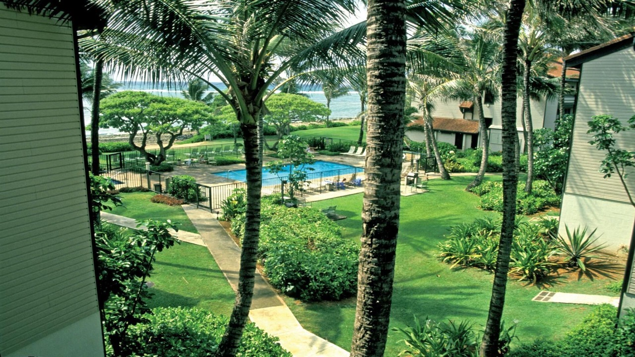 Photo of Outdoor in Wailua