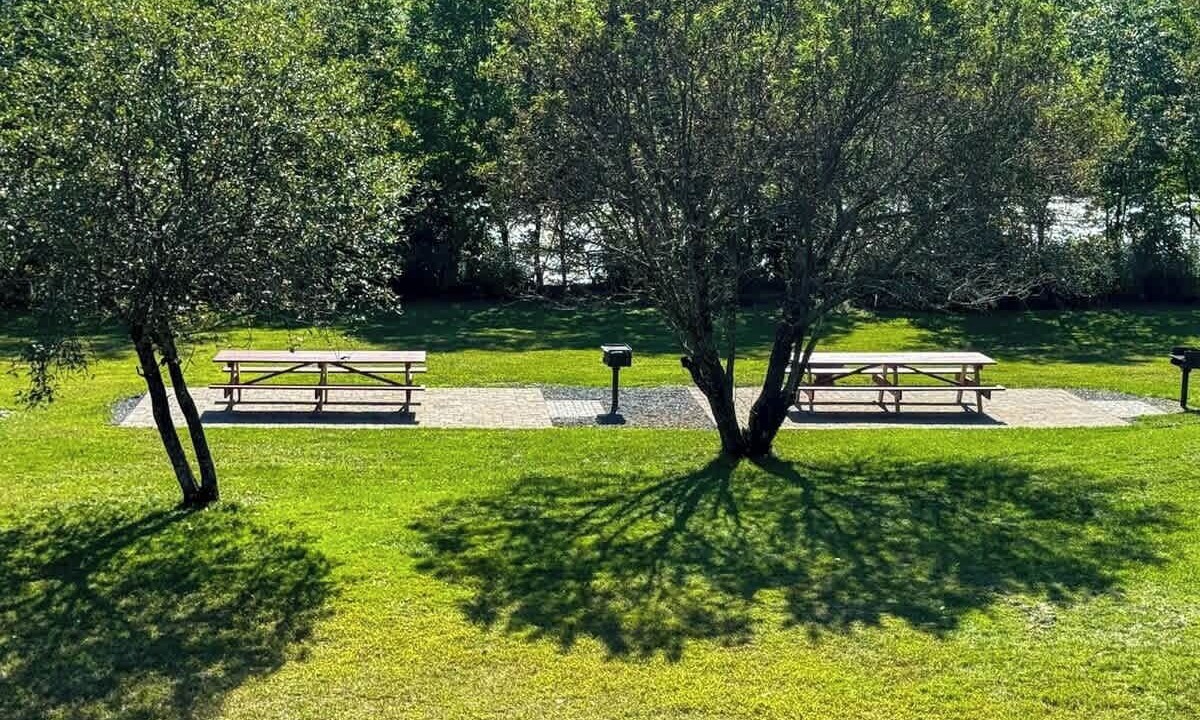 Photo of Outdoor in The Forks