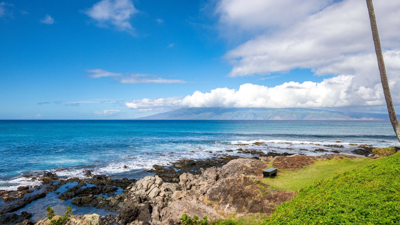 Photo of Others in Napili