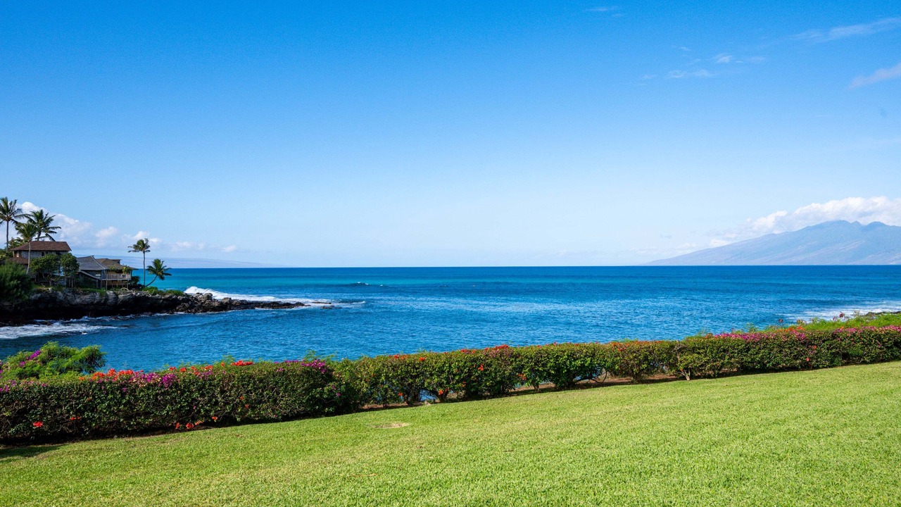Photo of Others in Napili