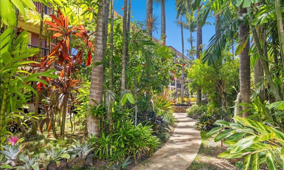 Photo of Outdoor in Poipu