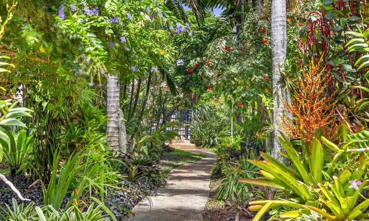 Photo of Outdoor in Poipu