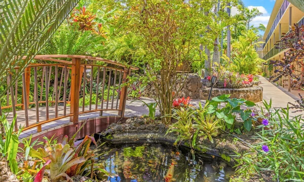 Photo of Outdoor in Poipu